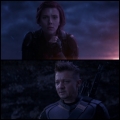 The Avengers - Endgame